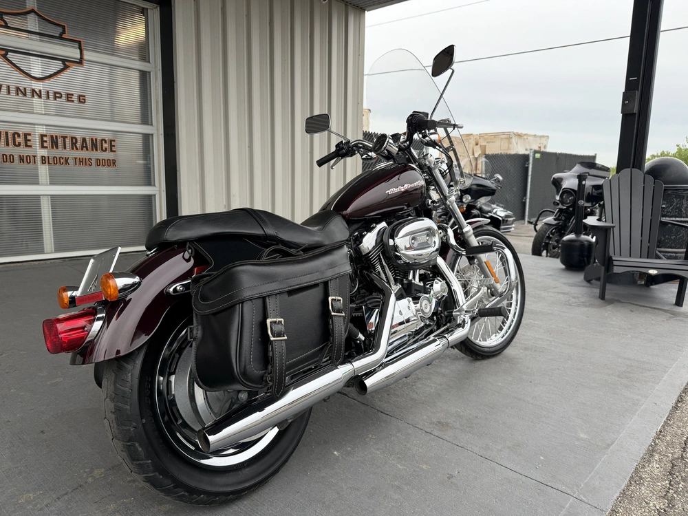 2007 Harley-davidson 1200 Custom alt