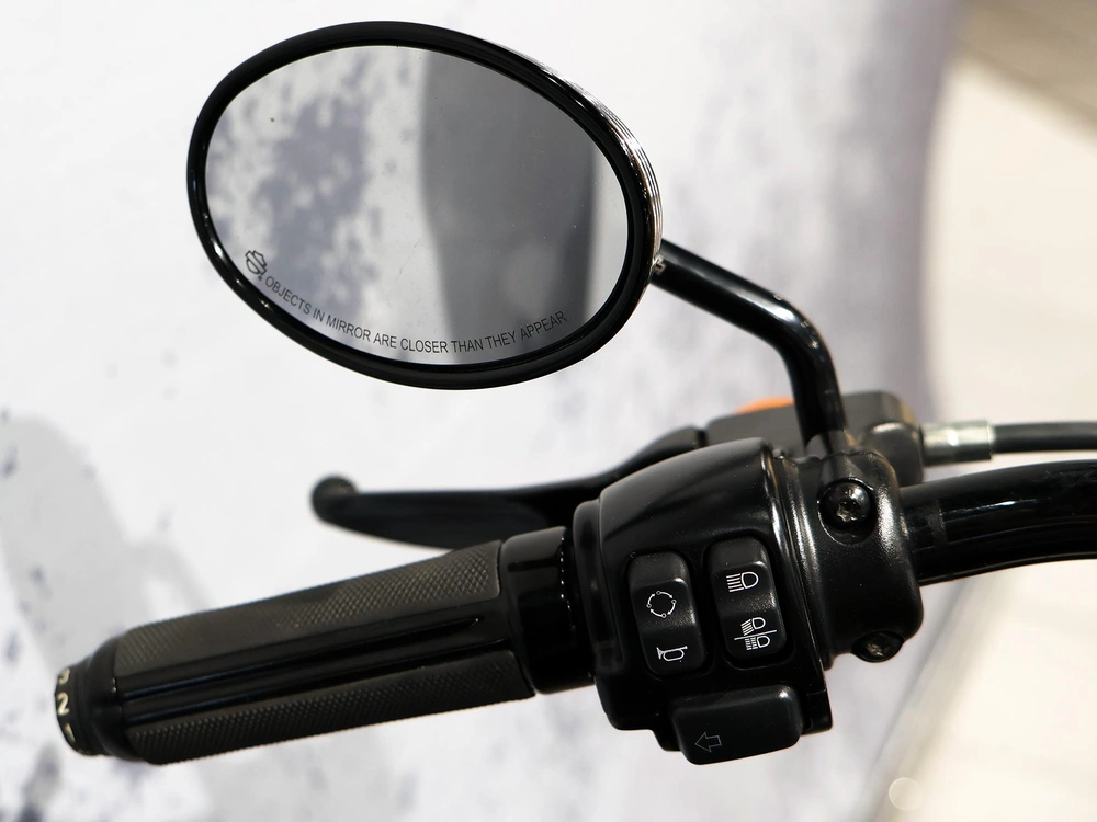 2019 Harley-davidson Softail Slim Flsl alt
