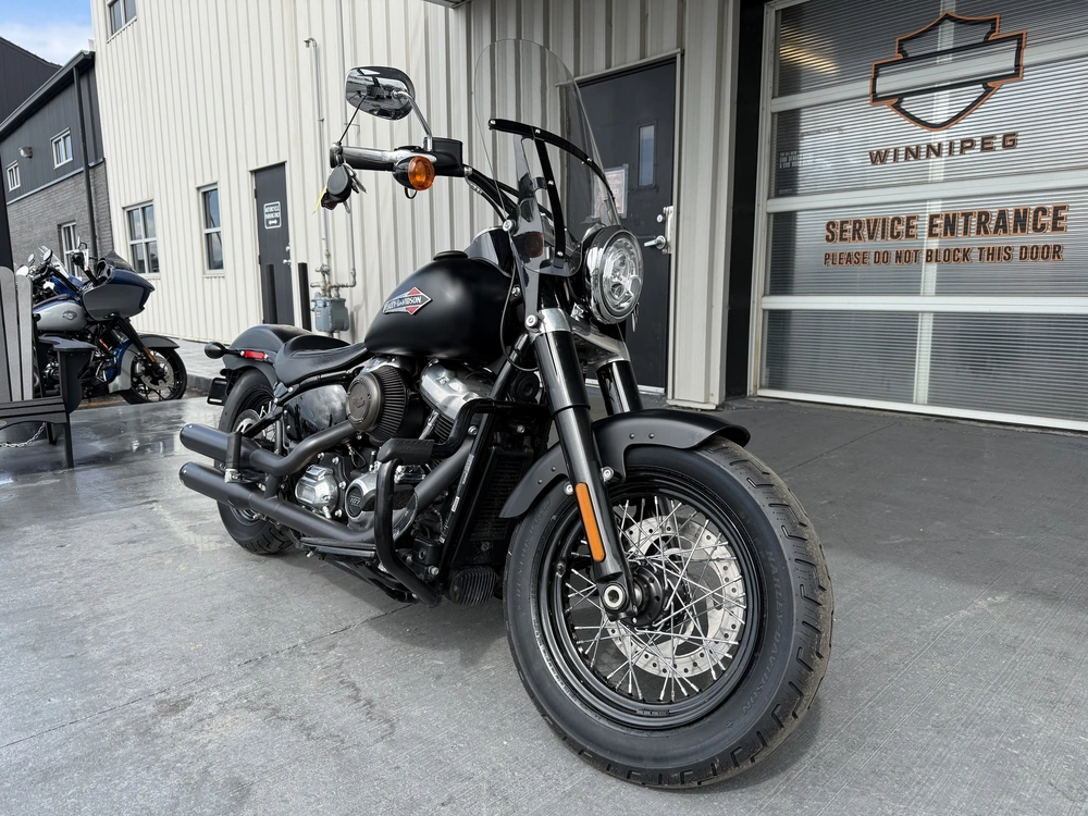 2019 Harley-davidson Flsl-slim alt