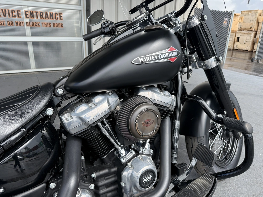 2019 Harley-davidson Flsl-slim alt