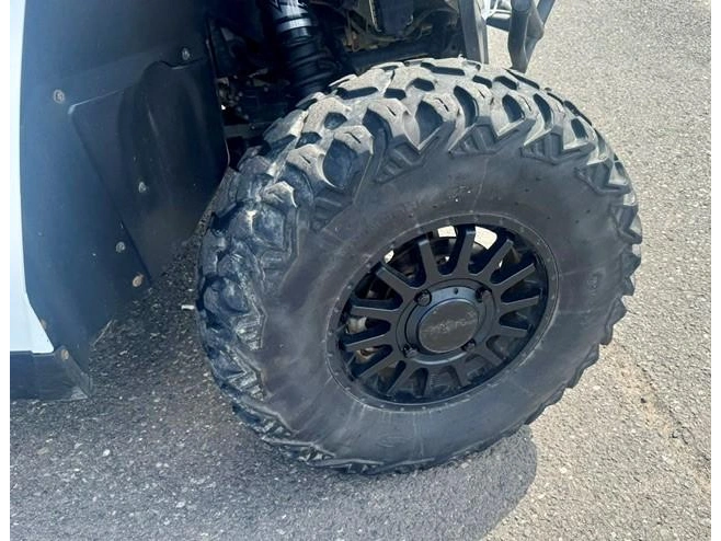 2019 Arctic Cat Textron Wildcat Xx 1000 alt