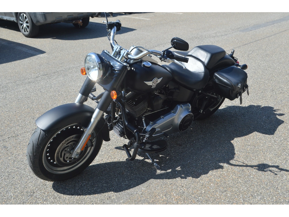 Harley-davidson Flstf 2012 alt