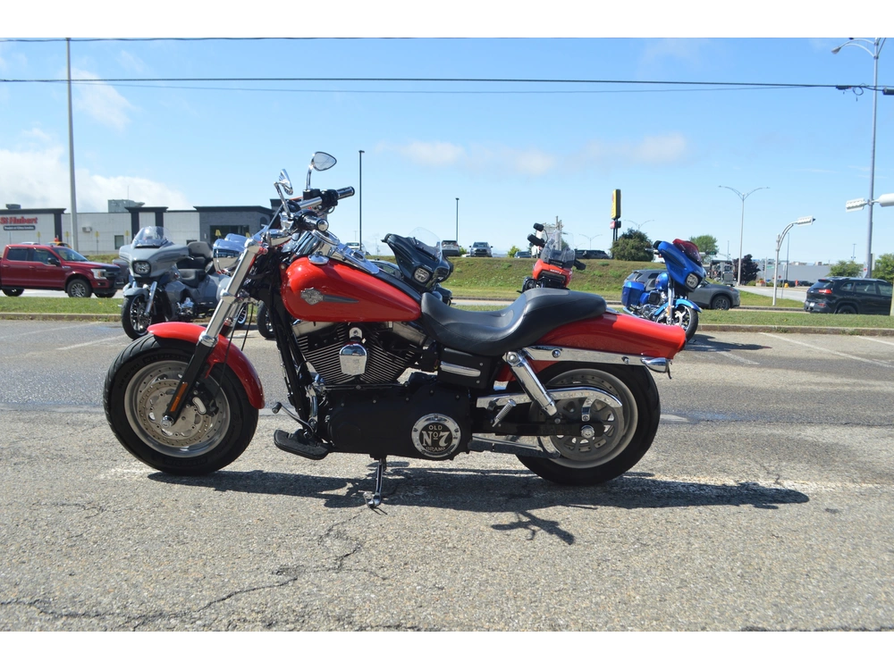 2010 Harley-davidson Fxdf alt