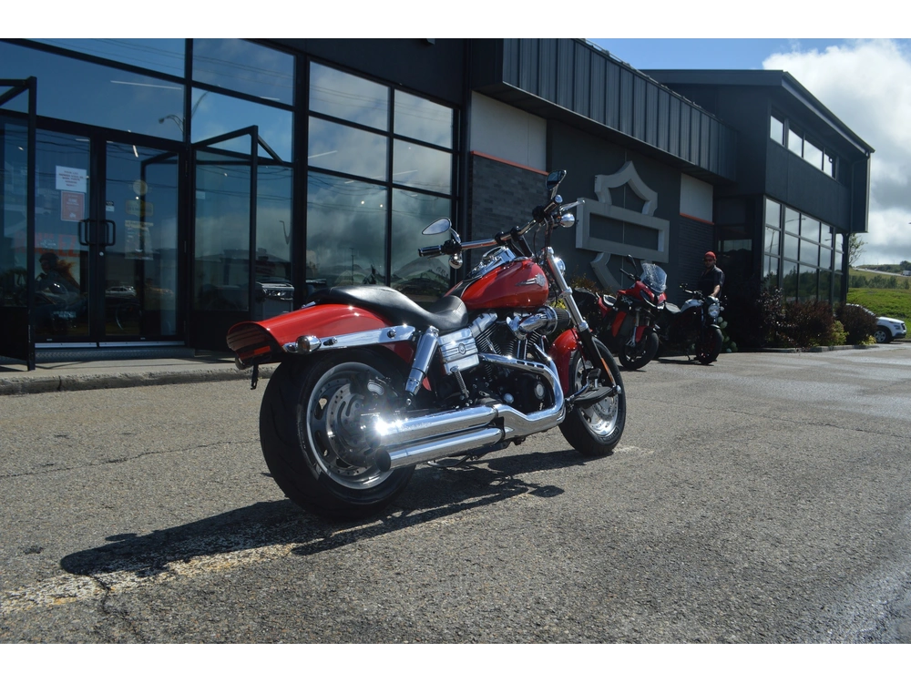 2010 Harley-davidson Fxdf alt