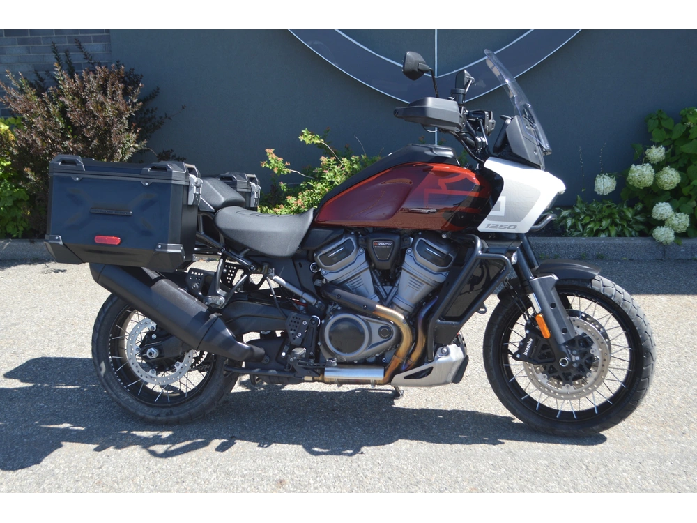 Harley-davidson Ra1250s Pan America Special 2024 alt