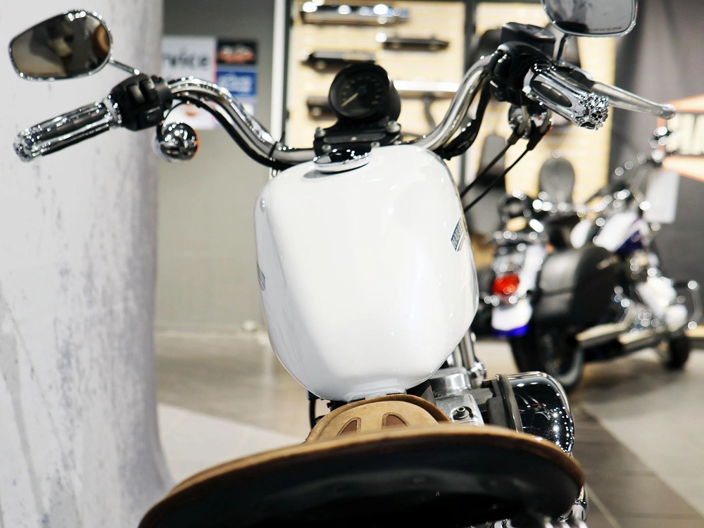 2006 Harley-davidson Sportster 883 alt