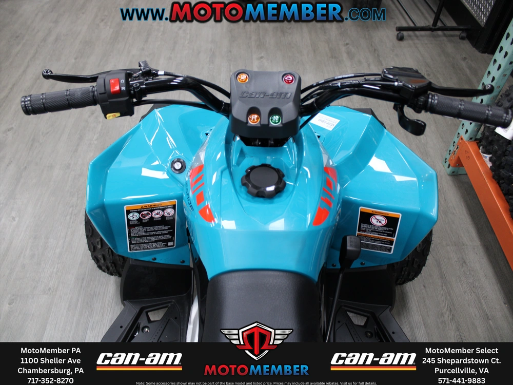 2026 Can-am Renegade 110 Efi alt