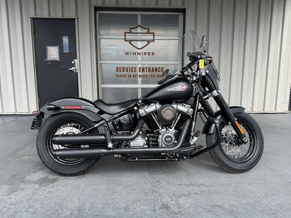 2019 Harley-davidson Flsl-slim alt