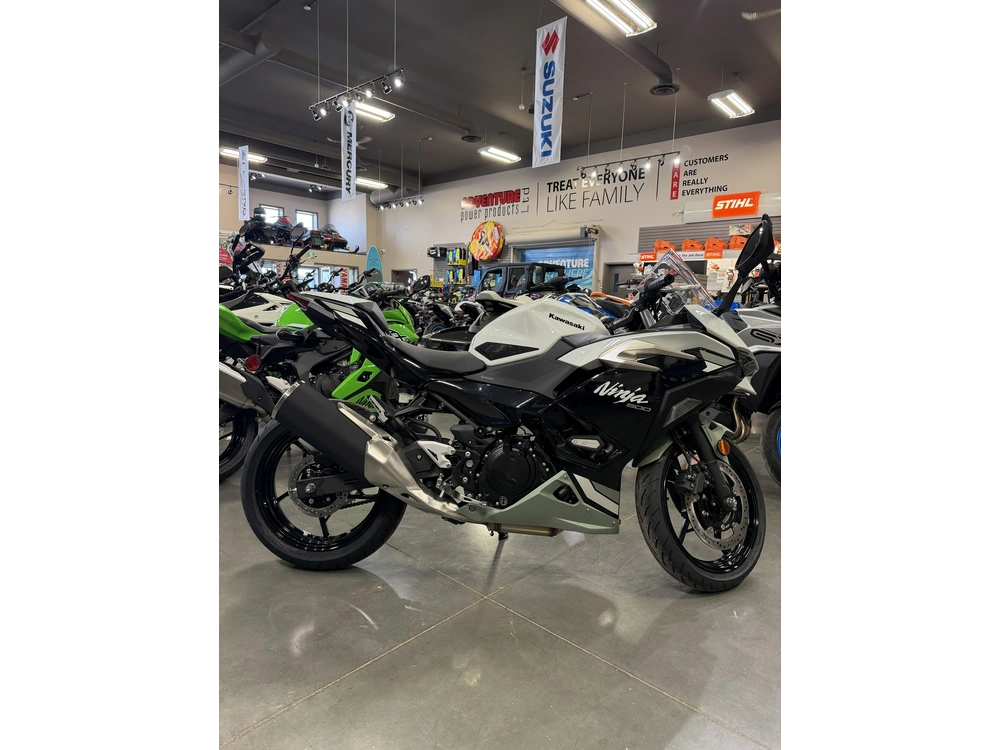 2026 Kawasaki Ninja 500 Se alt
