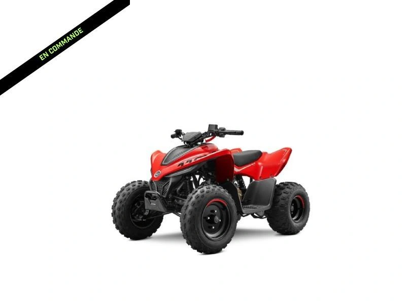 2027 Cfmoto Cforce 110 Classic alt