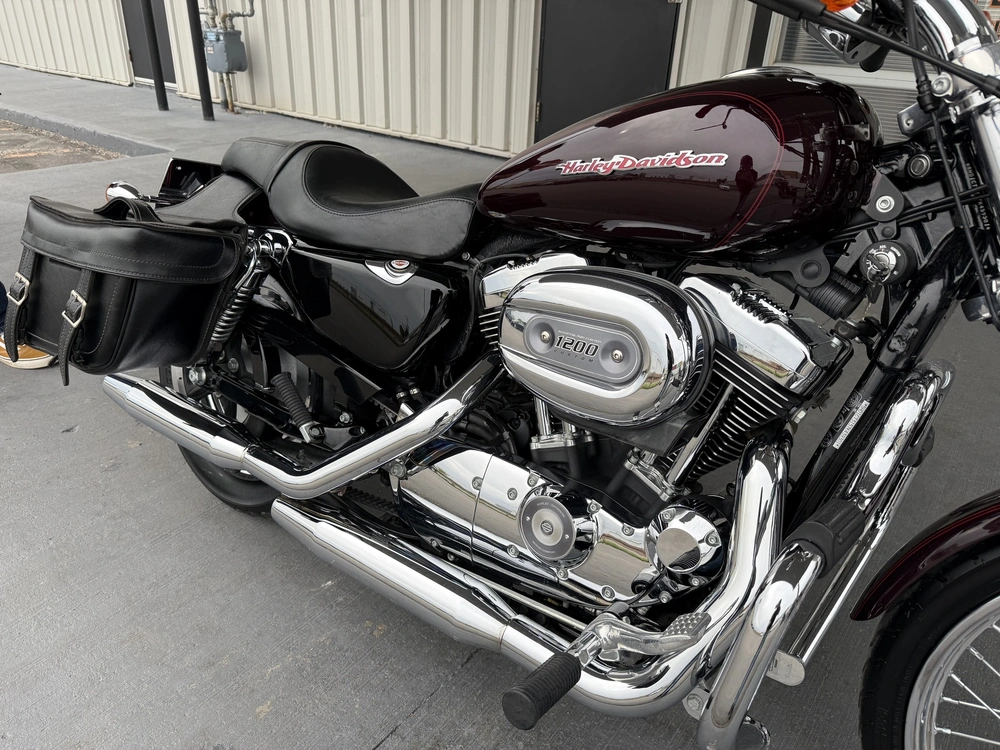 2007 Harley-davidson 1200 Custom alt