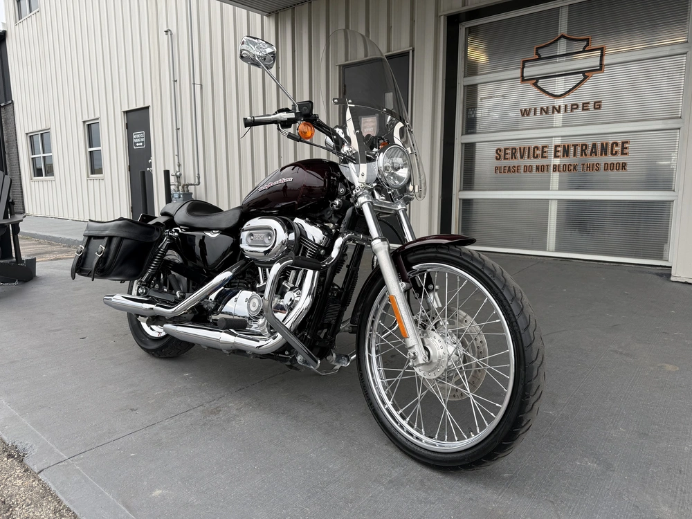 2007 Harley-davidson 1200 Custom alt