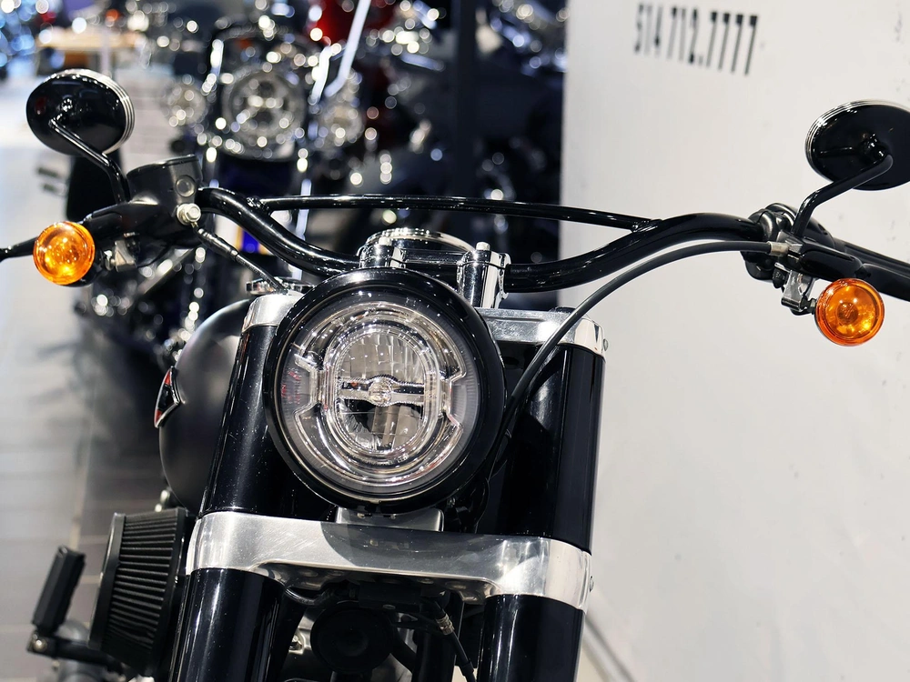 2019 Harley-davidson Softail Slim Flsl alt