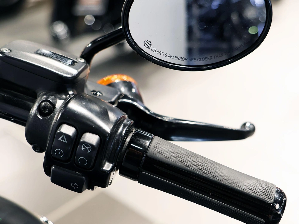 2019 Harley-davidson Softail Slim Flsl alt