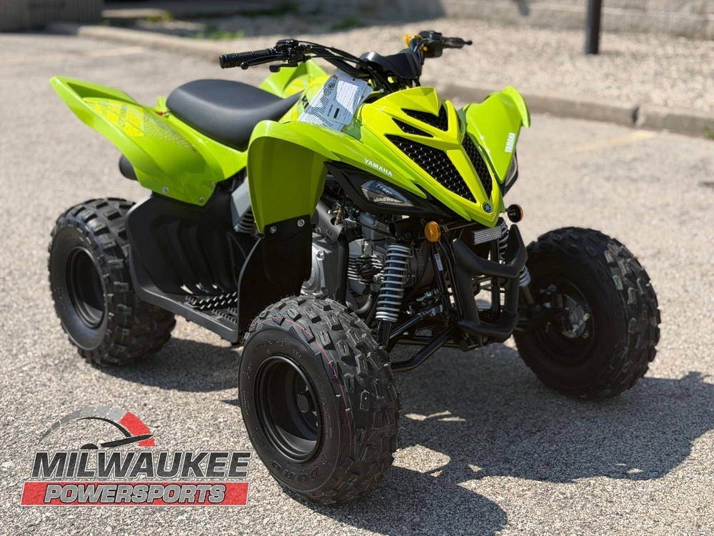 2026 Yamaha Raptor 110