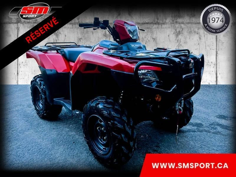 2020 Honda Rubicon Trx 520 alt