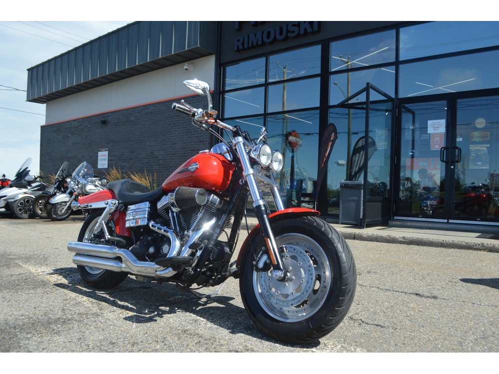 2010 Harley-davidson Fxdf alt