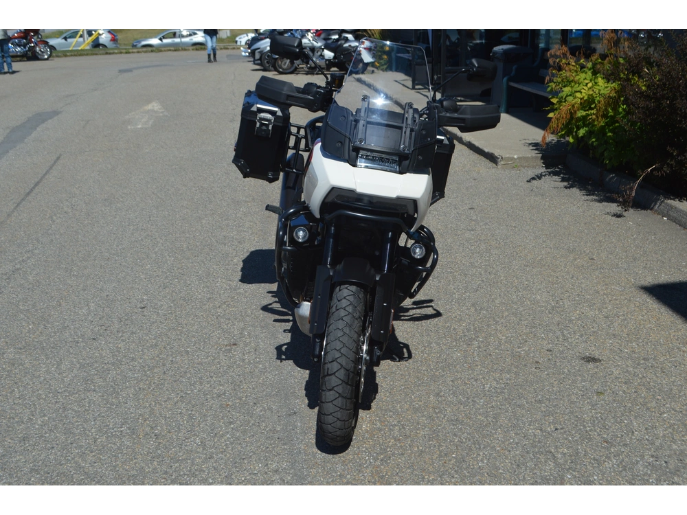 2024 Harley-davidson Ra1250s Pan America Special alt