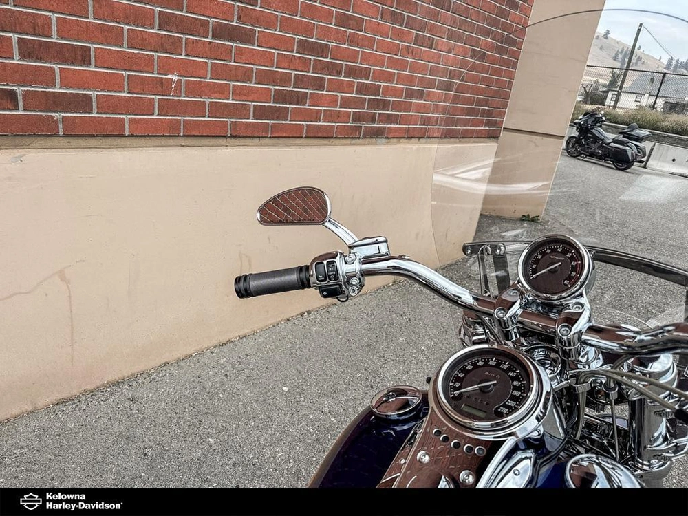 2010 Harley-davidson Fxdfse2 - Cvo™ Fat Bob® alt