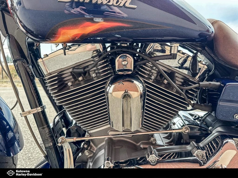 2010 Harley-davidson Fxdfse2 - Cvo™ Fat Bob® alt