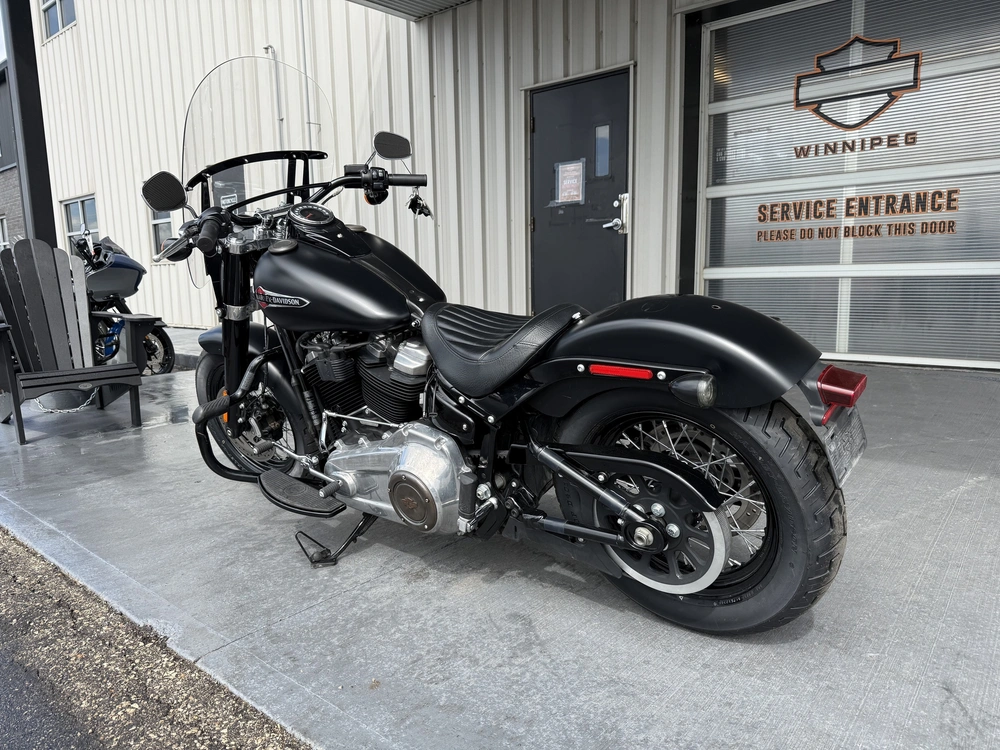 2019 Harley-davidson Flsl-slim alt