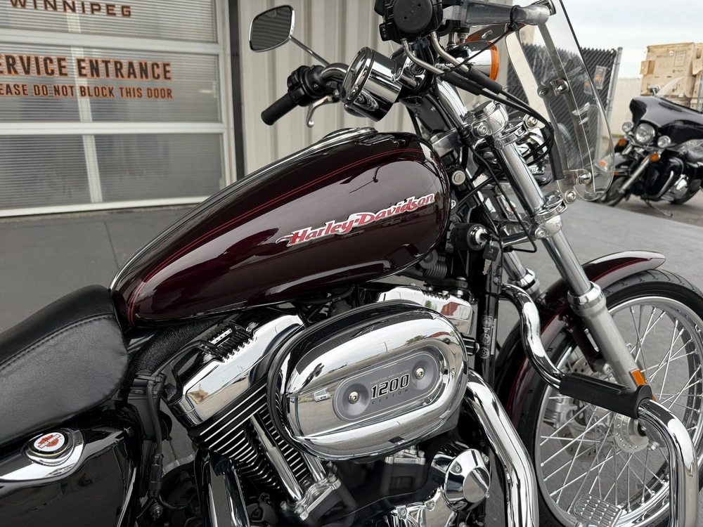 2007 Harley-davidson 1200 Custom alt