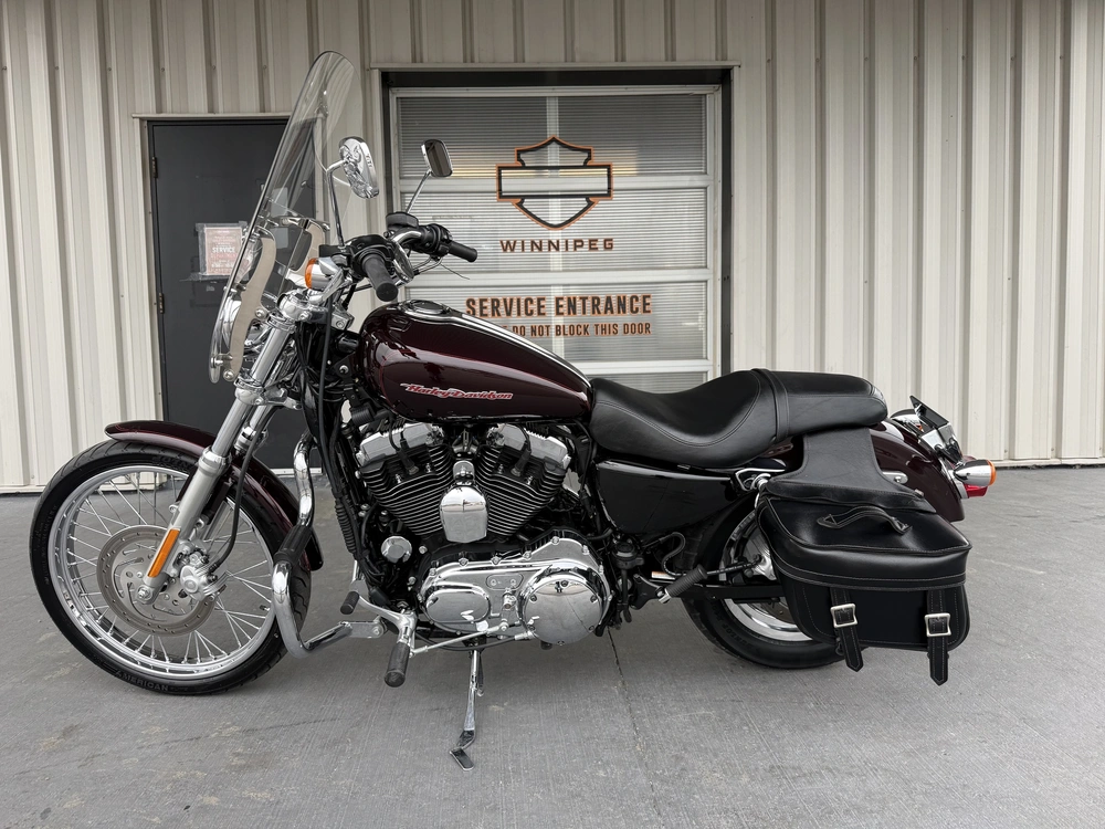 2007 Harley-davidson 1200 Custom alt