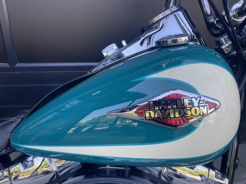 2009 Harley-davidson Flstc - Heritage Softail Classic alt