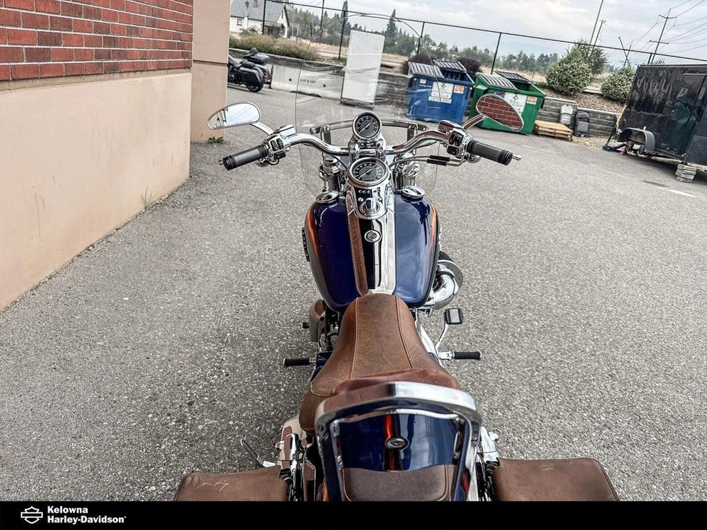 2010 Harley-davidson Fxdfse2 - Cvo™ Fat Bob® alt