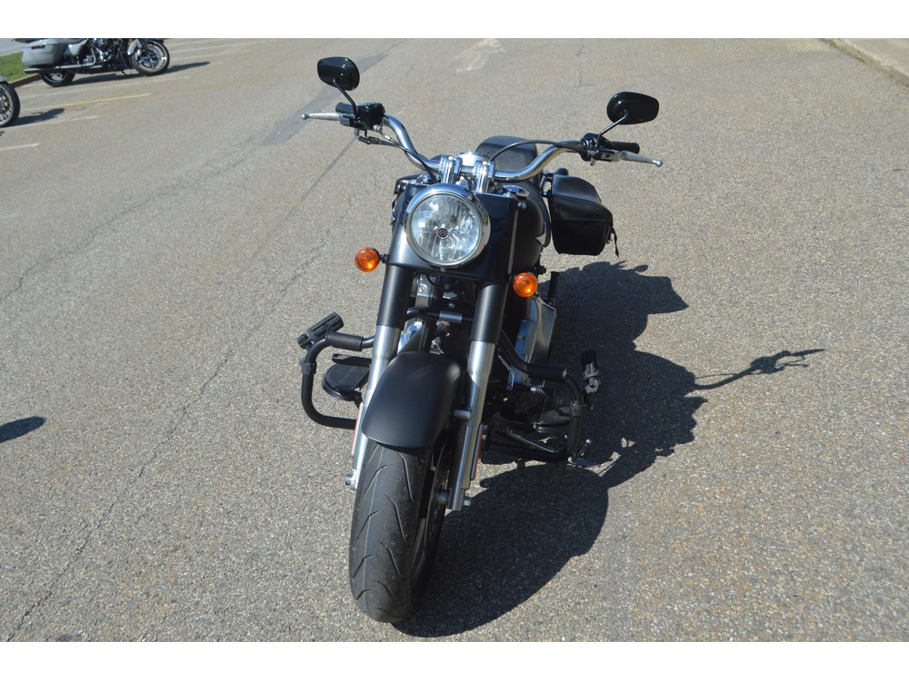 Harley-davidson Flstf 2012 alt