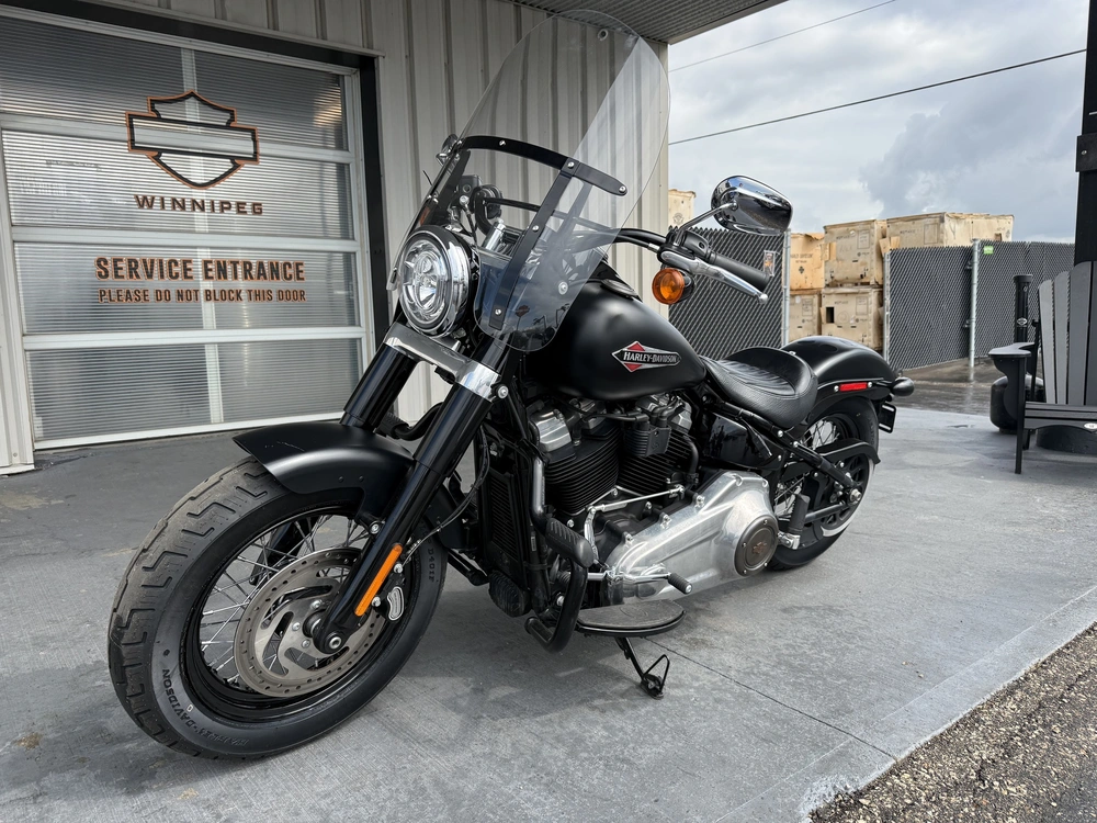 2019 Harley-davidson Flsl-slim alt
