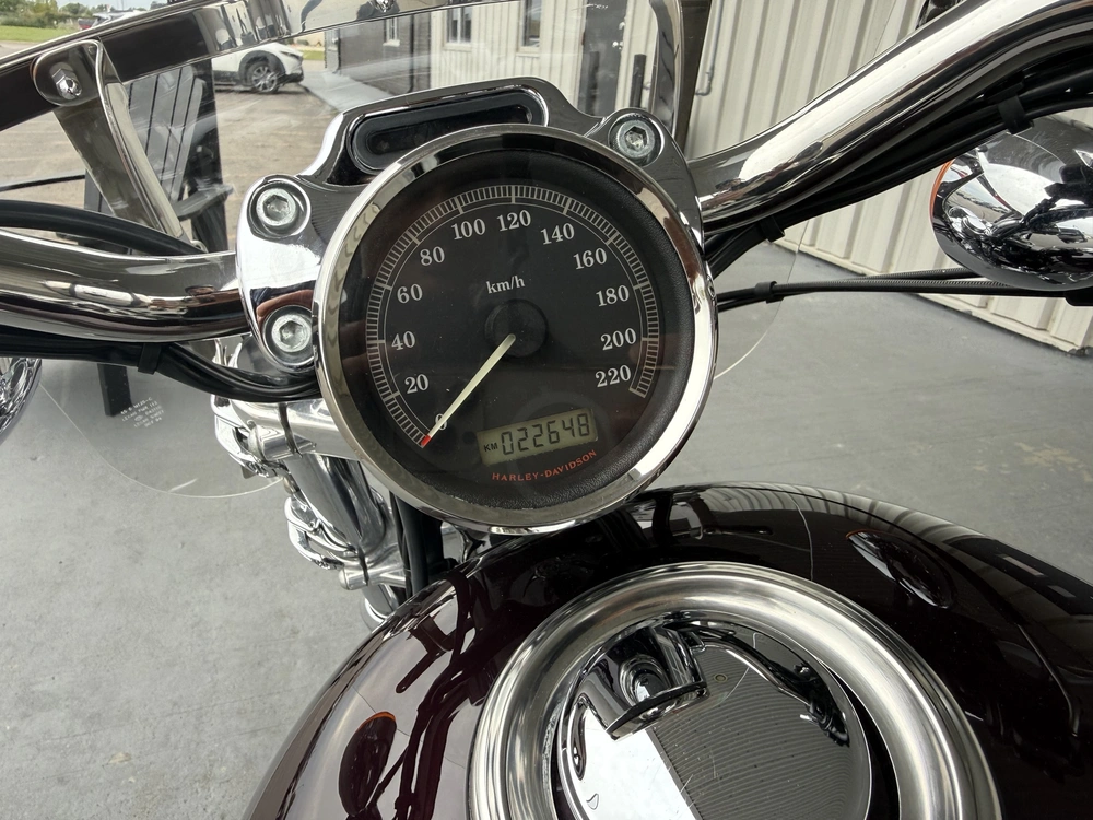 2007 Harley-davidson 1200 Custom alt