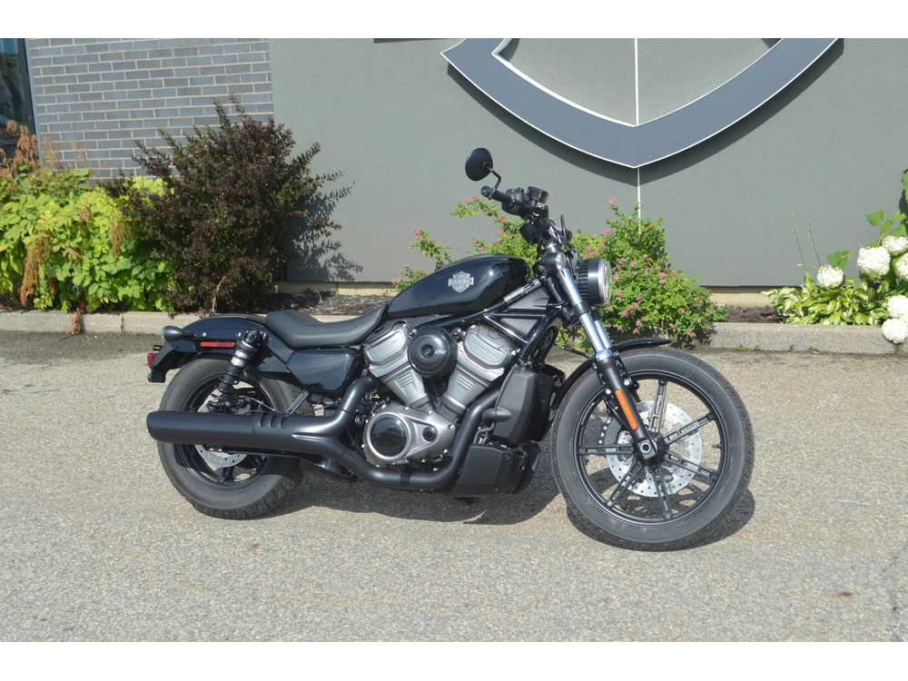 2024 Harley-davidson Rh975 Nightster alt