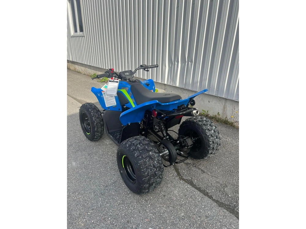 2026 Cfmoto Cforce 110 Classic alt