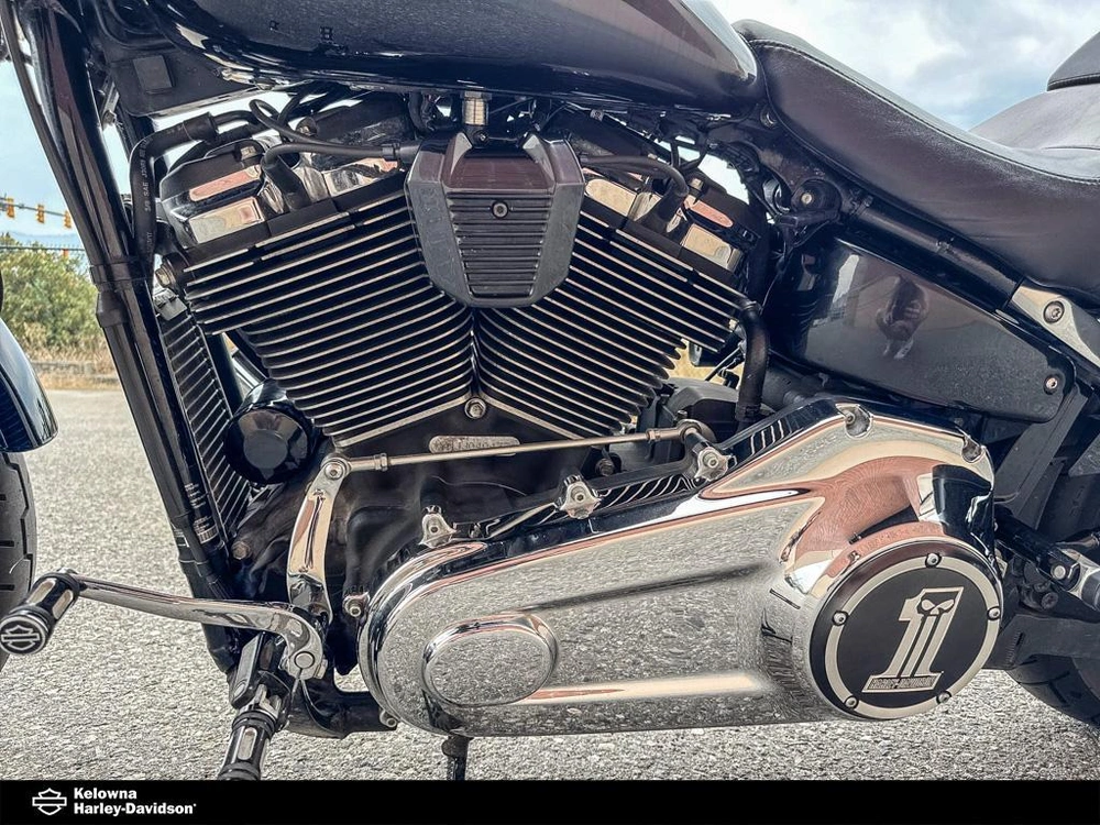 2018 Harley-davidson Flsb - Sport Glide alt