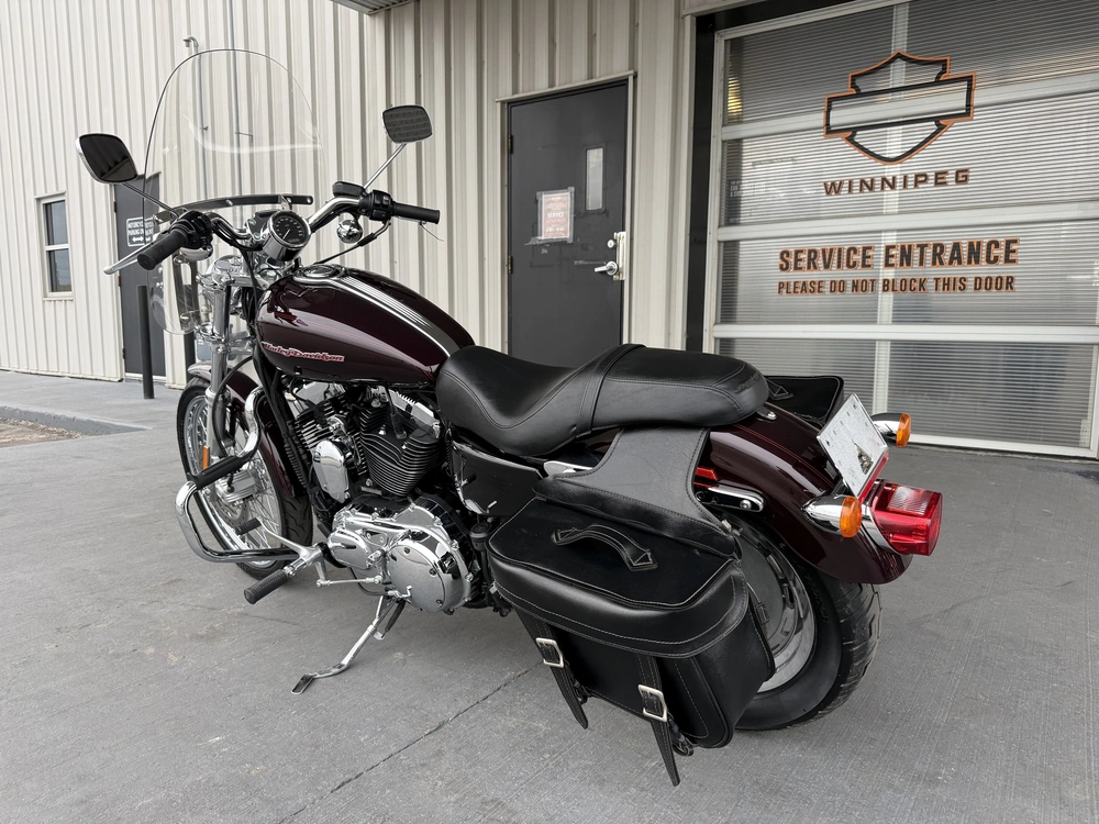 2007 Harley-davidson 1200 Custom alt