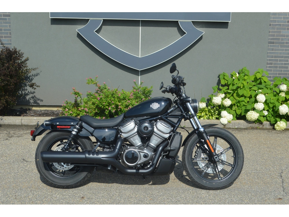 2024 Harley-davidson Rh975 Nightster alt