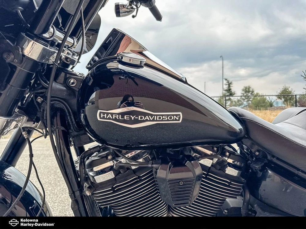 2018 Harley-davidson Flsb - Sport Glide alt