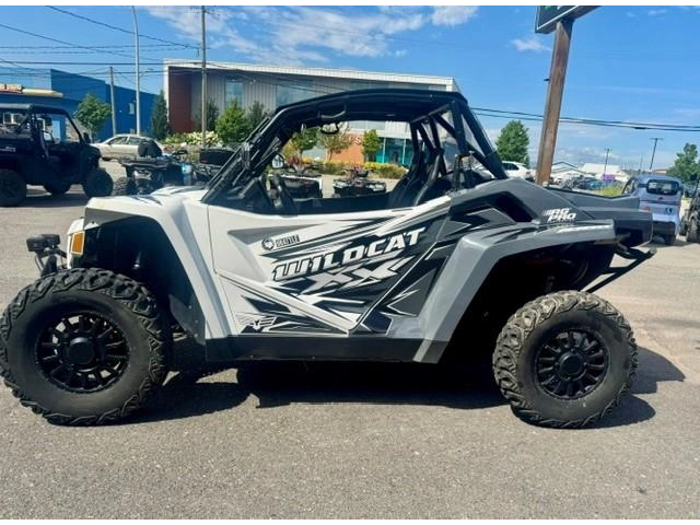 2019 Arctic Cat Textron Wildcat Xx 1000 alt