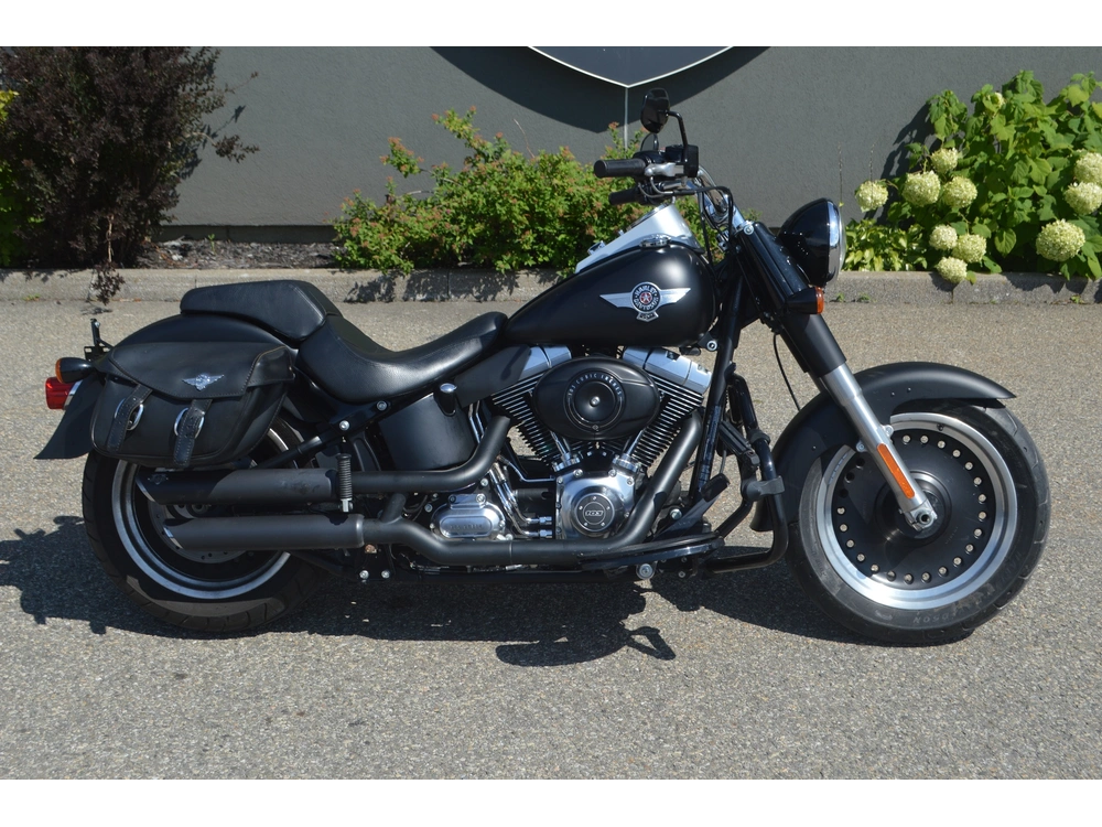 Harley-davidson Flstf 2012 alt