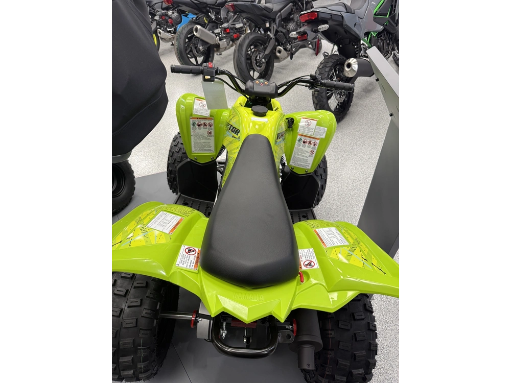 Yamaha Raptor 110 2026 alt