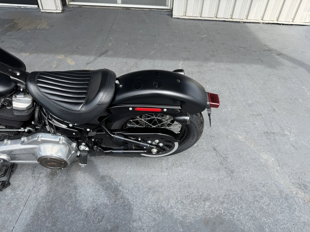 2019 Harley-davidson Flsl-slim alt