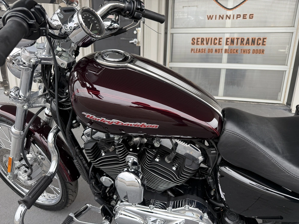 2007 Harley-davidson 1200 Custom alt