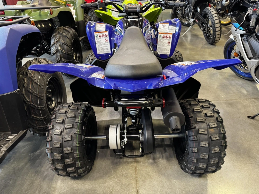 2026 Yamaha Raptor 110 alt