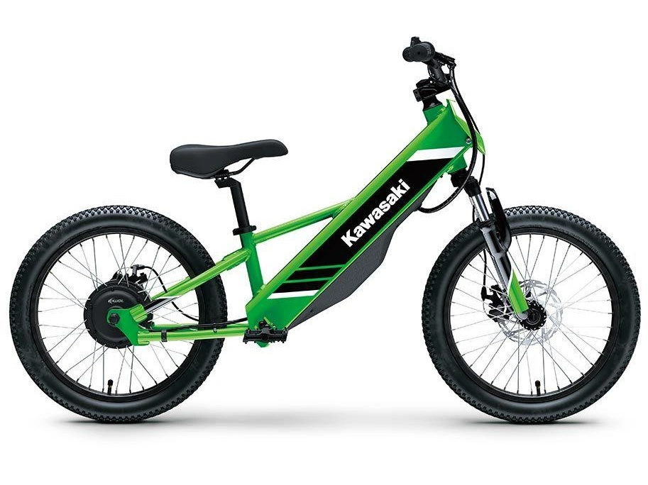 Kawasaki Elektrode 20 2027 alt