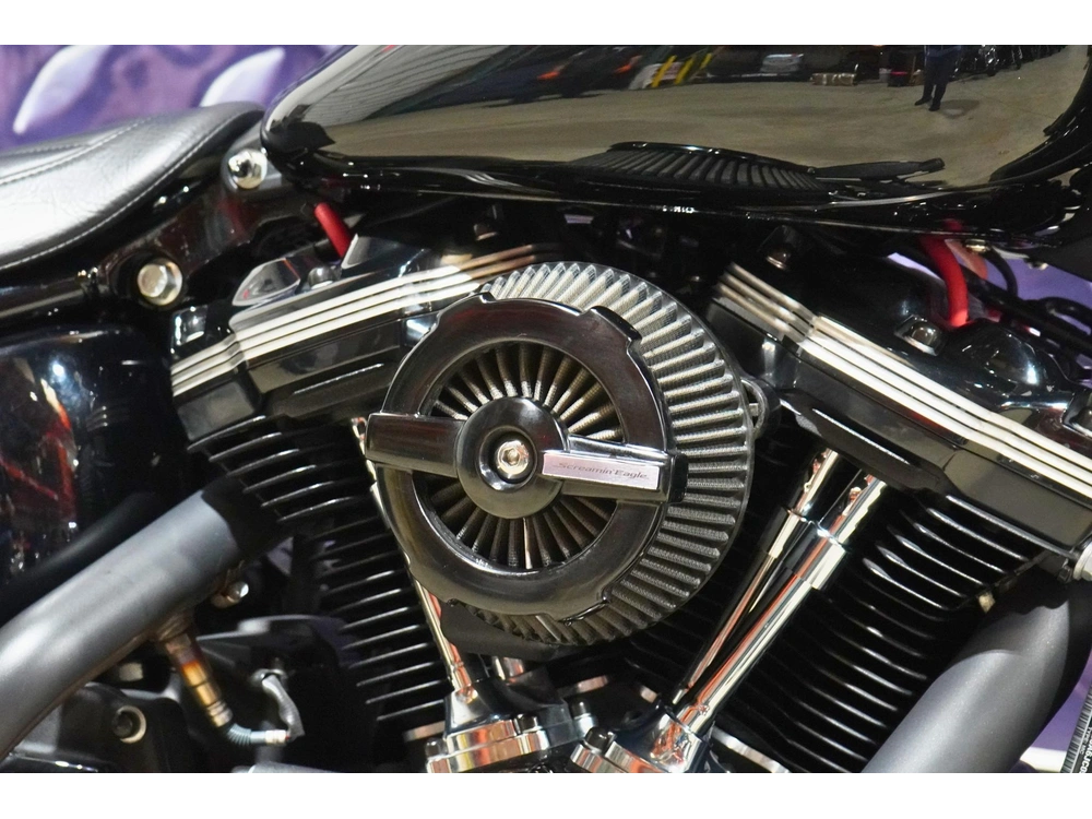 2018 Harley-davidson Flsl Softail Slim alt
