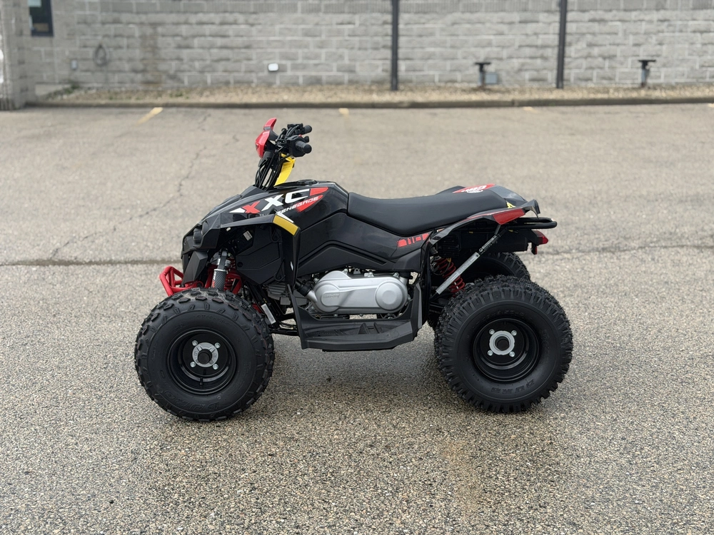 2026 Can-am Renegade X Xc 110 Efi alt