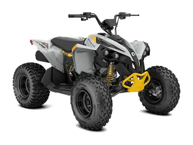 Can-am Renegade 110 Efi 3mtb 2026 alt