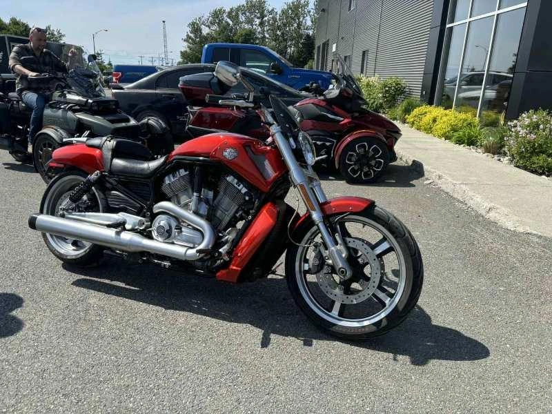 Harley-davidson V-rod 2013 alt