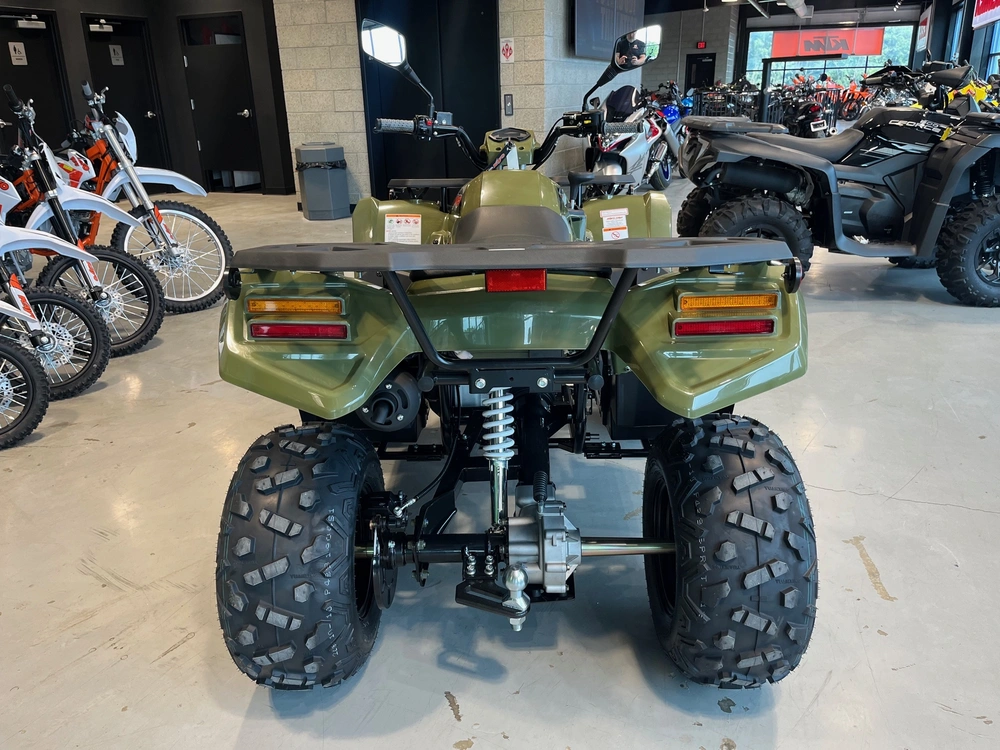 2027 Kayo Bull 300 Efi alt